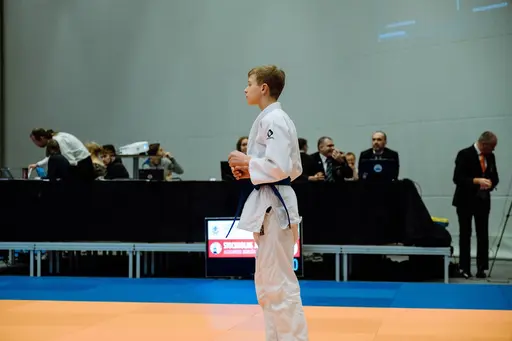 Blandade bilder från den roliga RM helgen