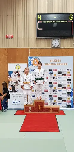 Blandade bilder från Judodraget i Färglanda