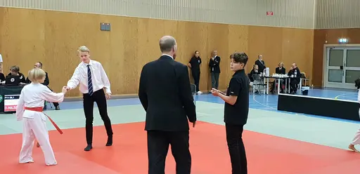 Blandade bilder från Judodraget i Färglanda