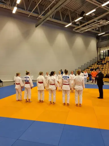 Blandade bilder från den roliga RM helgen