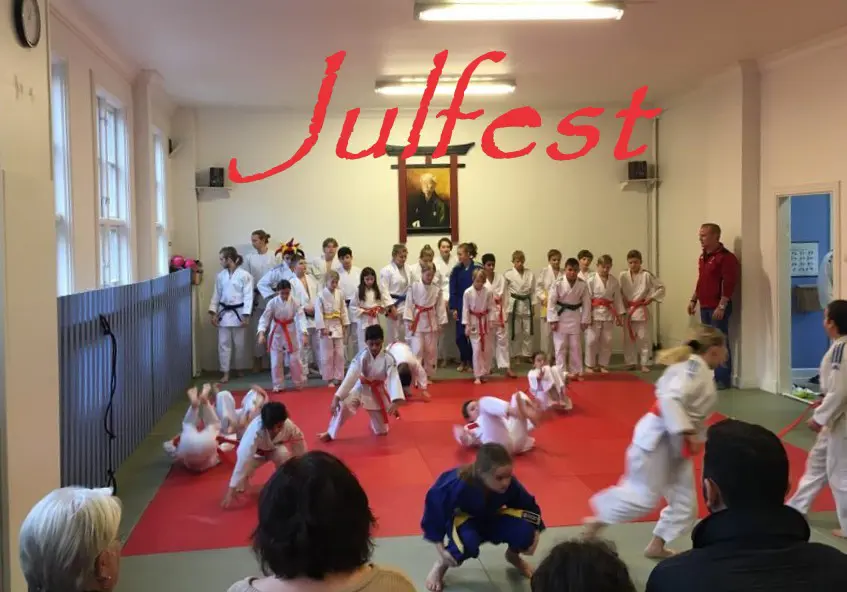 En bild från uppvisningen på julfesten 2019