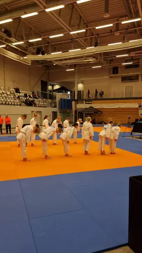 Blandade bilder från den roliga RM helgen