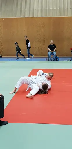 Blandade bilder från Judodraget i Färglanda