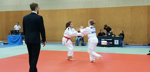 Blandade bilder från Judodraget i Färglanda