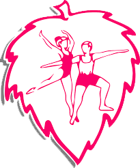 Umeå Gymnastikförening