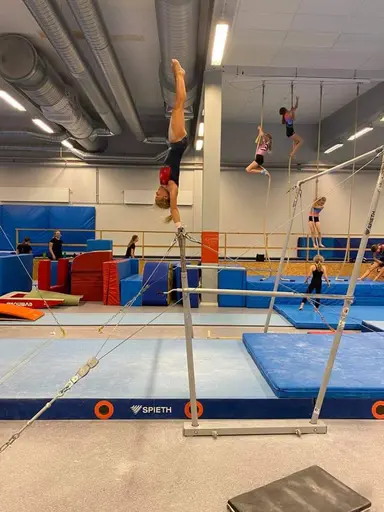 Maja i barren och en gammal bild på Viivi på bommen i Bräntis