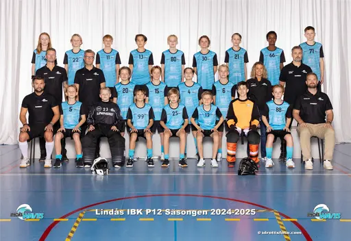 Ovan ser ni alla Lindåslag som gick vidare till A-slutspel i Gothia Cup.