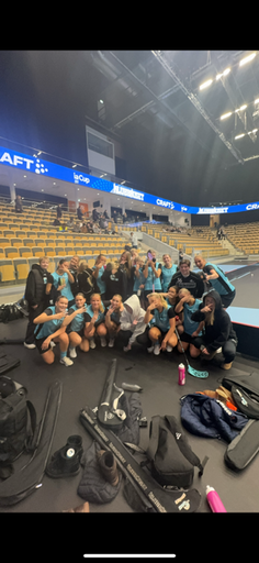 Ovan ser ni alla Lindåslag som gick vidare till A-slutspel i Gothia Cup.