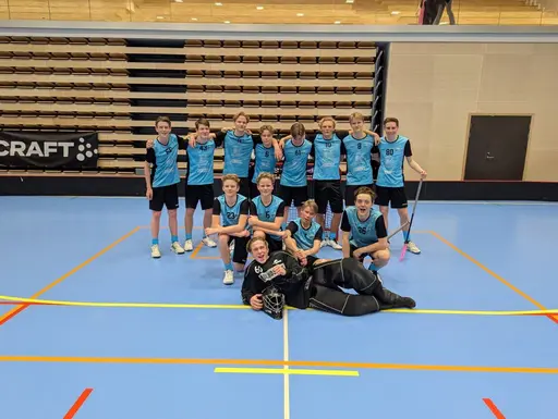 Ovan ser ni alla Lindåslag som gick vidare till A-slutspel i Gothia Cup.