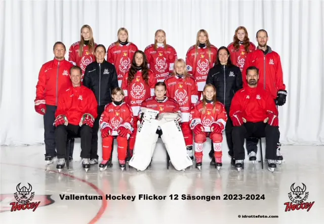 Vallentuna Hockey Flickor 12