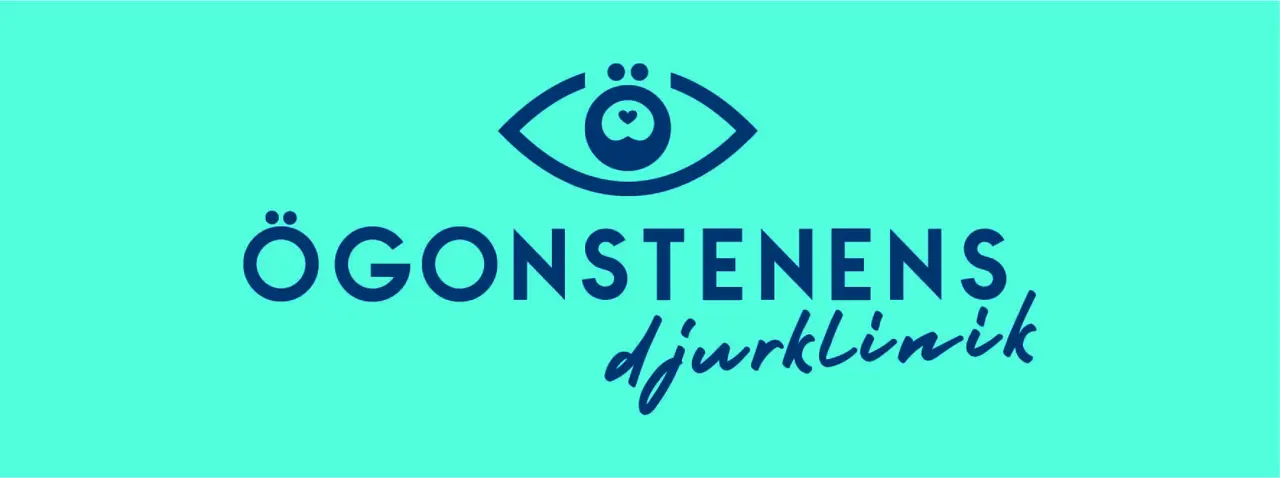 Ögonstenen