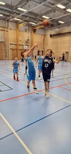 P13 in action