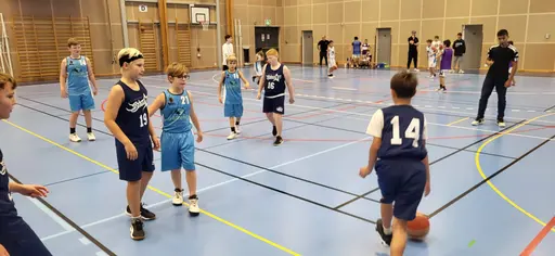 P13 in action