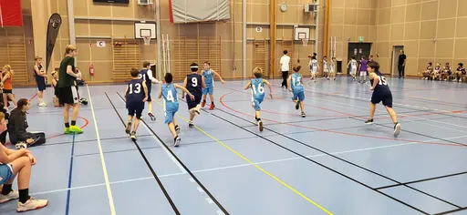 P13 in action