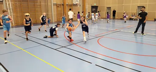 P13 in action