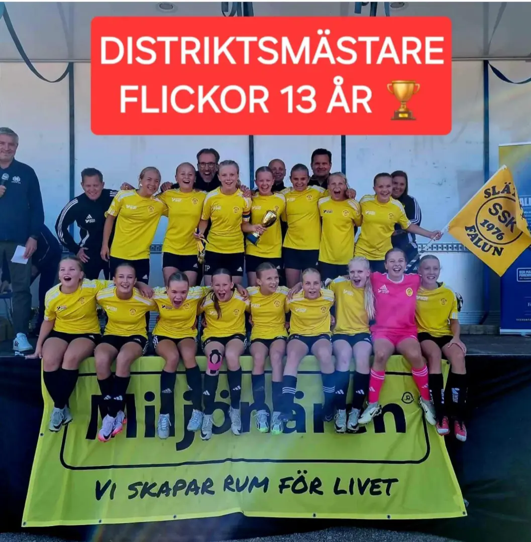 Distriktsmästare 2024