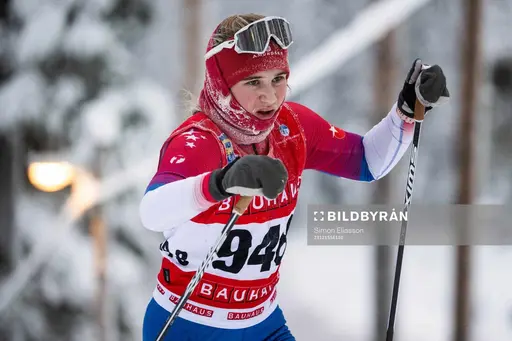 Nils Sjöberg, Nike Werner, Harald Ekenberg och Axel Sandström