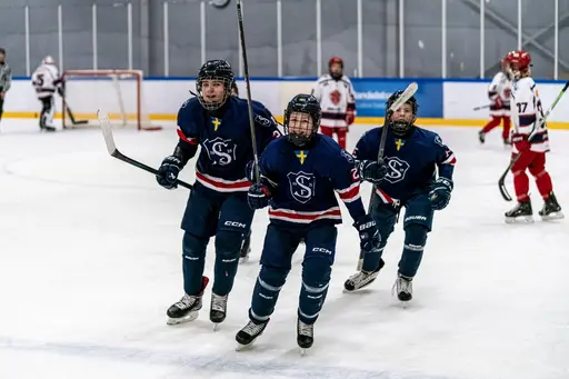 Match och vinst mot Järfälla HC Vit