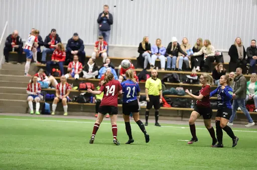 Nils Holgersson Cup 2024