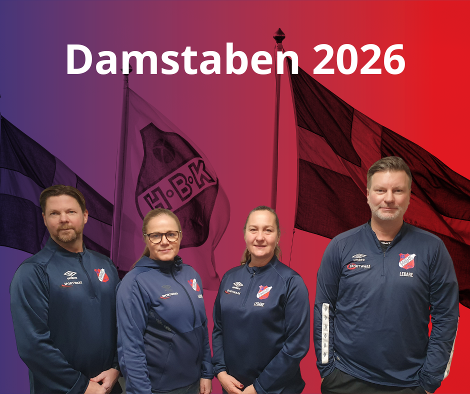 fr v. Mikael Karlsson, Caroline Nybacke, Anncatrin Elversson, Håkan Larsson
