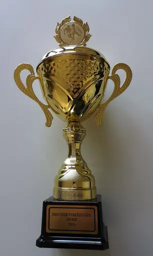 Bilder från sportactionpictures