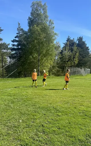 En solig dag på Vifolkavallen .☀️