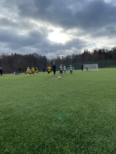 Tjejerna spelade återigen en strålande match . 