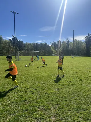 En solig dag på Vifolkavallen .☀️