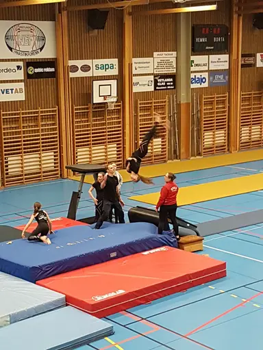 Hallen var välfylld på våruppvisningen