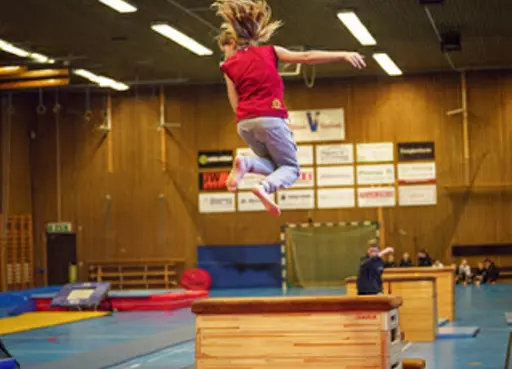 Lite härliga bilder från våruppvisningen 
