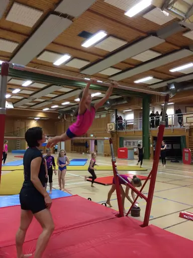 Klubben har många aktiva gymnaster och duktiga ledare med stort engaemang i allt från träningar och tävlingar till vårt årliga luciatåg och nationaldagsfirande