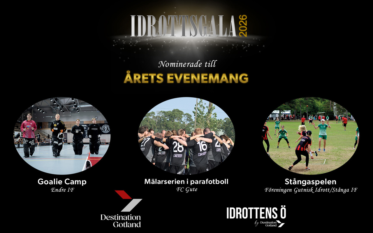 Mälarserien i parafotboll