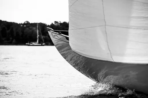 Fotograf - Anki Hammar