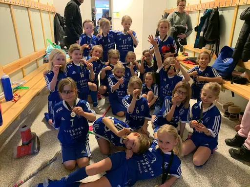 CUP Vaxholm 15 feb 2020