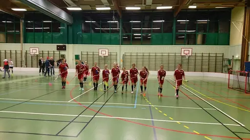 Ännu en seger!