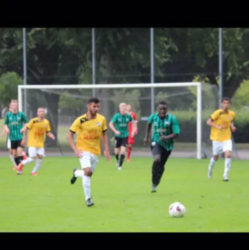 Uppifrån vänster: Anas Hamidan, Felix Adler, Omar El-ali och Oscar Mårtensson