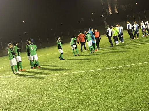 Seger med 3-1(2-0) mot Bosna Hercegovina på ett kylslaget Husiegård..