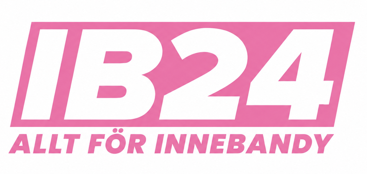 Innebandy 24