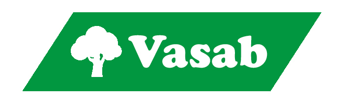 Vasab