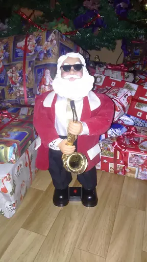Svarteborgs Spelande Tomte