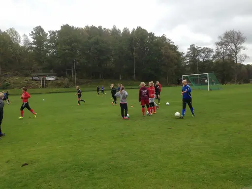Ett stort gäng tjejer på närmar 40 spelare deltog under söndagens Zon-träning.