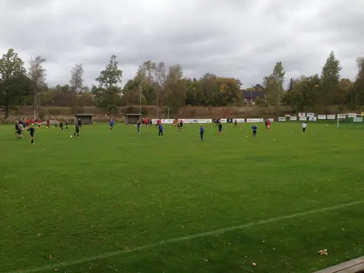 Ett stort gäng tjejer på närmar 40 spelare deltog under söndagens Zon-träning.