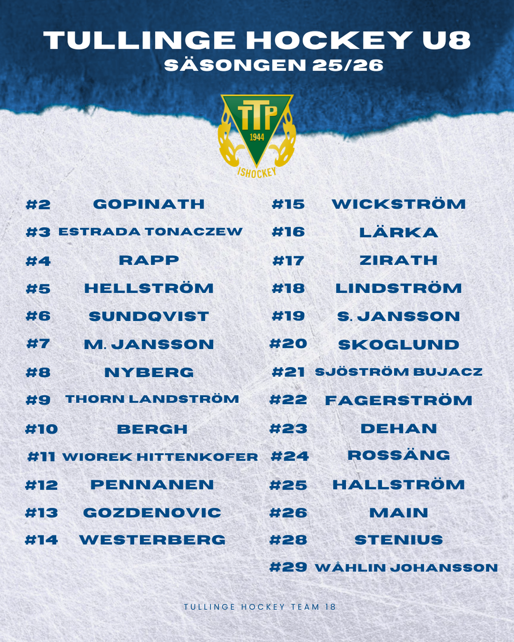 Tullinge Hockey U8 säsongen 25/26