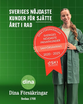 Dina web