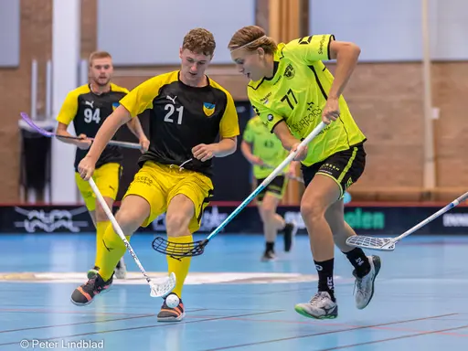 Alla bilder - Peter Lindblad