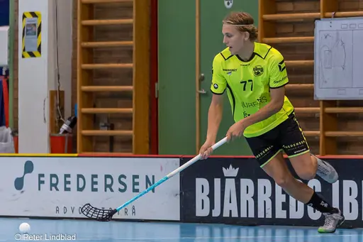 Alla bilder - Peter Lindblad
