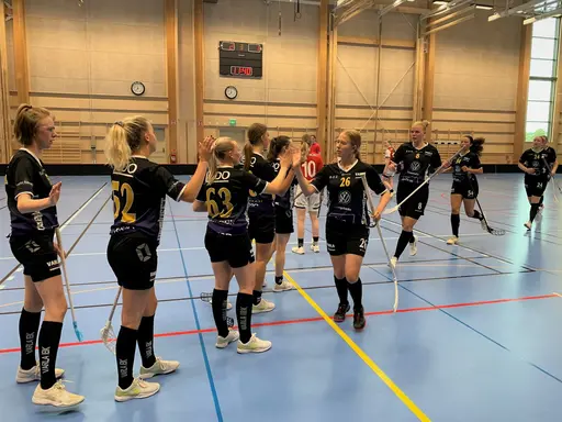 Träningsmatcher i Kungsbacka Sporthall