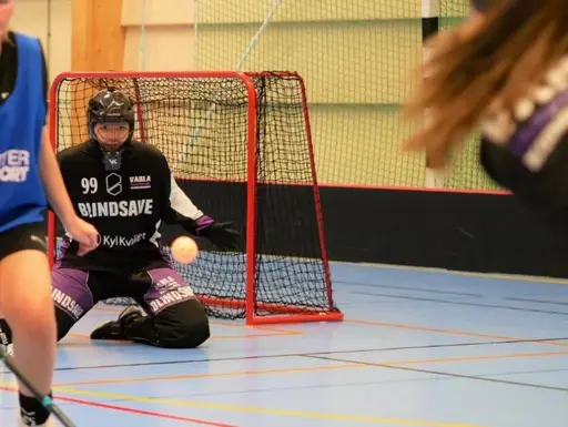 Om du älskar innebandy och vill utvecklas så är kanske du vår nya medspelare?