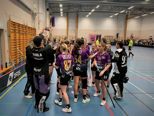 Härliga bilder från finalen (egna bilder samt bild från prisutdelningen från Hallands IBF)