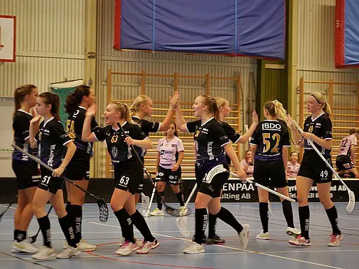 Om du älskar innebandy och vill utvecklas så är kanske du vår nya medspelare?